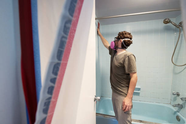 Best Mold Odor Removal Services  in Indian Hills, KY