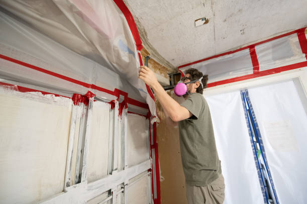 Trusted Indian Hills, KY Mold Removal Experts