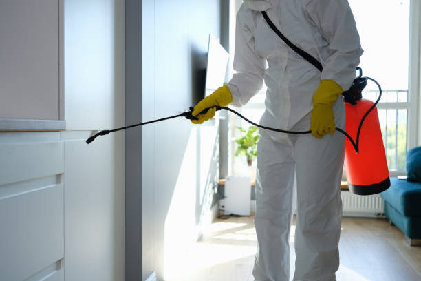 Best Post-Construction Mold Inspection  in Indian Hills, KY