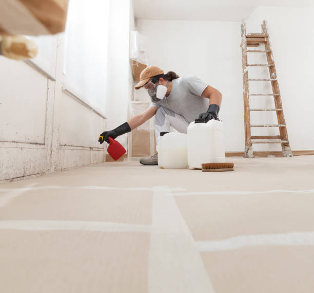 Best Industrial Mold Remediation  in Indian Hills, KY