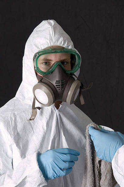 Best Asbestos and Lead Testing During Mold Inspection  in Indian Hills, KY